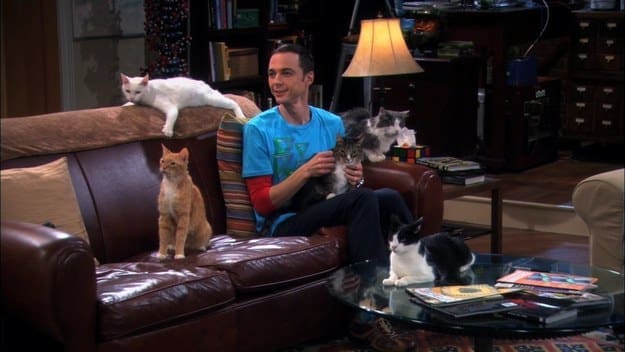 sofa_de_sheldon