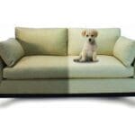 como limpiar tapizados sofa
